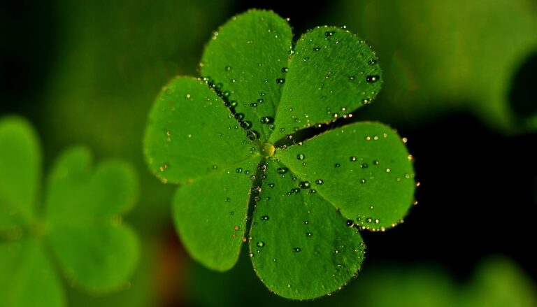 Luck Never Seems to Find Me – Boost Your Fortune with a Powerful Good Luck Spell